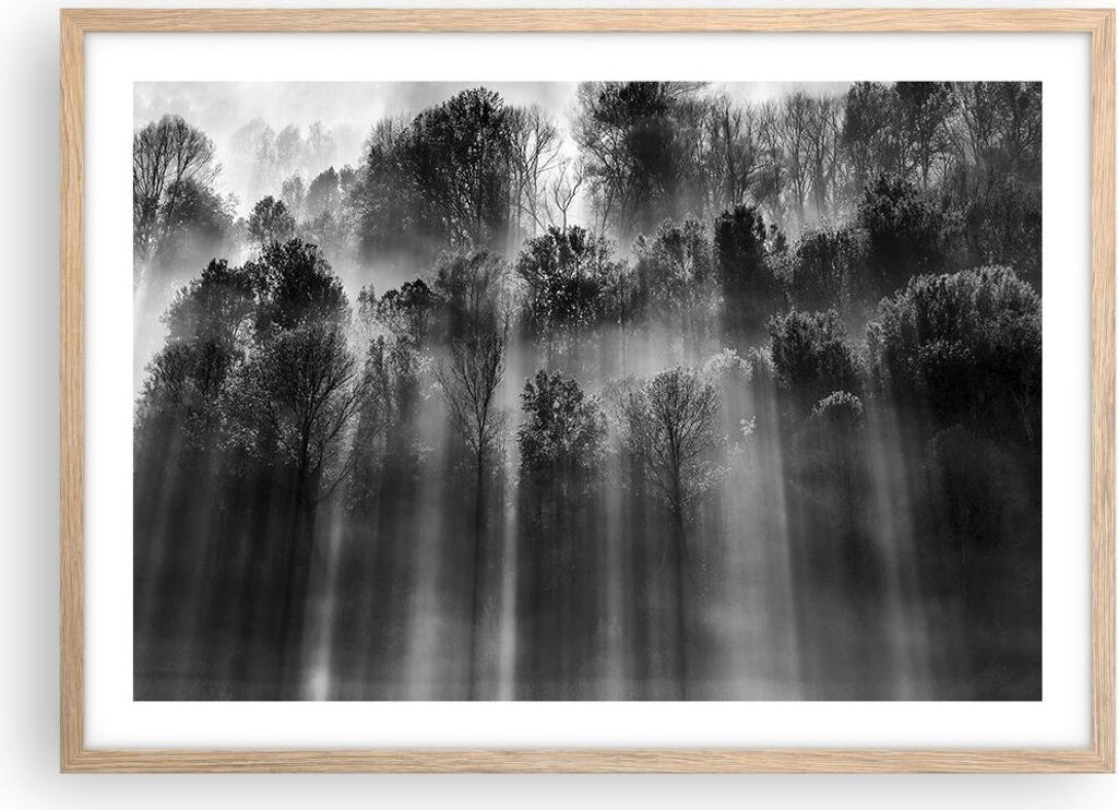 Gerahmtes Poster - Rahmen in heller Eiche - Bäume drinnen Nebel - 70x50 cm - Wand Bild - Wanddeko - Wandbilder - Kunstposter - Wandposter - Bilder...