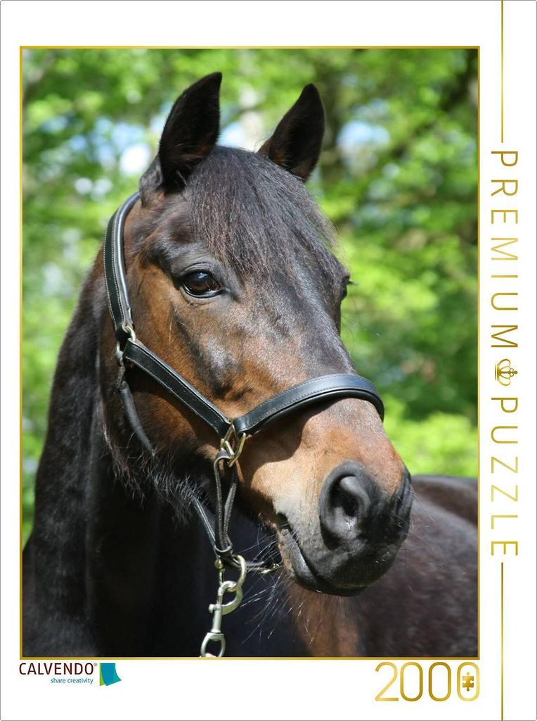 CALVENDO Puzzle Ein Motiv aus dem Kalender Traumhafte Pferdeportraits 2000 Teile Puzzle hoch | 2000 Teile Lege-Größe 90x67cm Foto-Puzzle für gl...