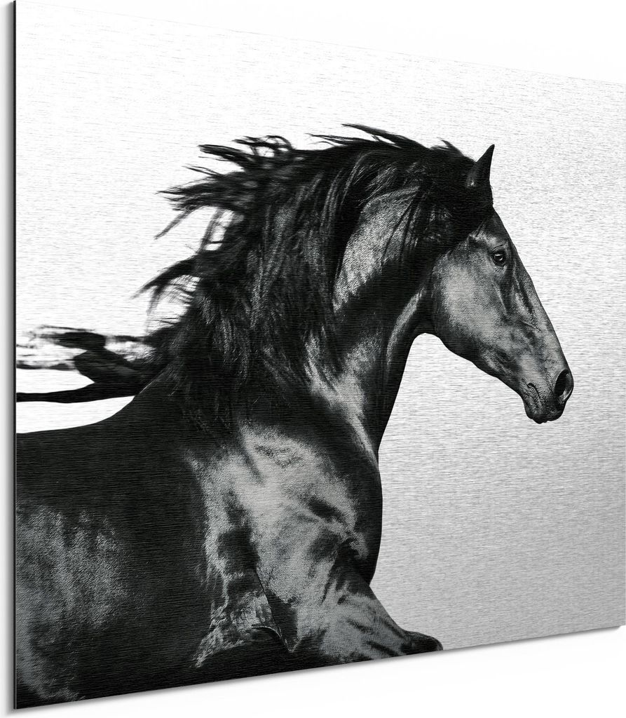 DEQORI Alu-Dibond Bild Silber 40x30 cm 'Galoppierendes Pferd' Wandbild Metall dünn Design