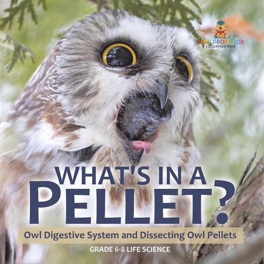 What's in a Pellet? Owl Digestive System and Dissecting Owl Pellets | Grade 6-8 Life Science