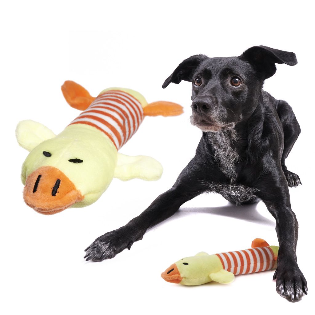 Aga Plüschspielzeug für Hunde Ente