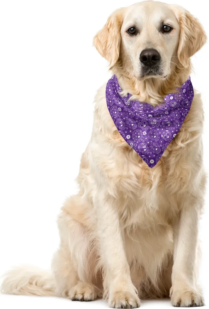 Bandana Pet Teschi Giorno dei Morti ABAKUHAUS Viola 55x55cm