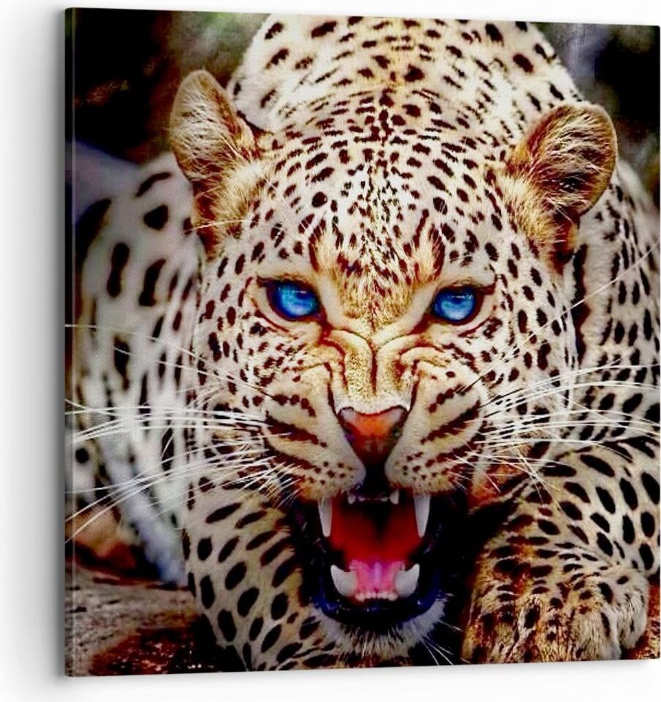 Bild auf Leinwand - Leinwandbild - Panther Tier - 70x70cm - Wand Bild - Wanddeko - Wandbilder - Leinwanddruck - Bilder - Kunstdruck - Wanddekoratio...