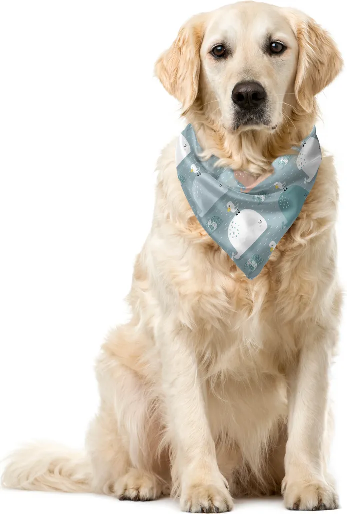 Bandana ABAKUHAUS Balena e Gabbiano 40x40 cm per Cani e Gatti