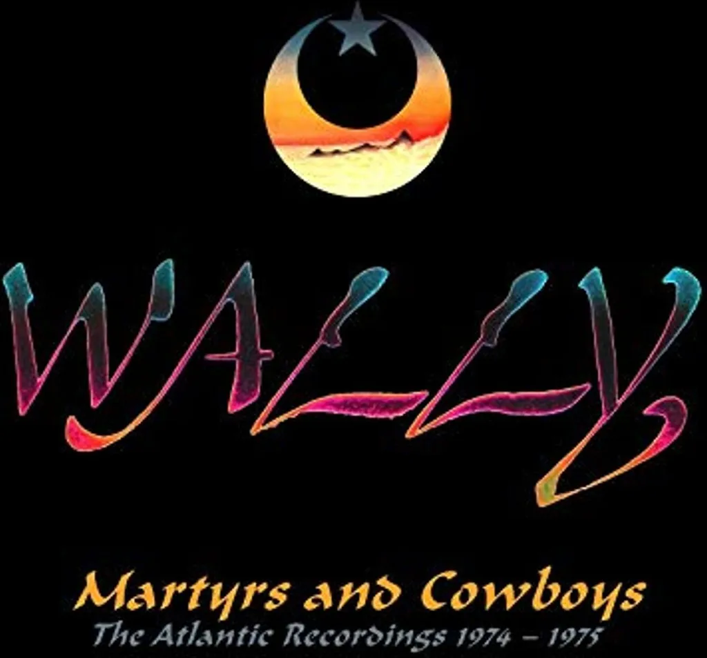 Martyrs et cow-boys : Idée cadeau lecture pour passionnés de romans