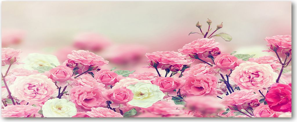Tulup Leinwandbild - 125x50 cm - Wandkunst - Drucke auf Leinwand - Leinwanddruck - Blumen & Pflanzen - Rosa - Blumen Rose