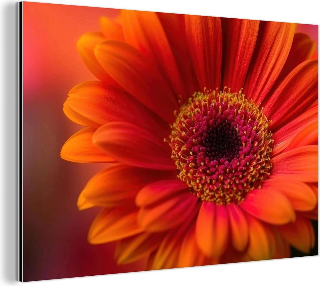 MuchoWow Wanddekoration Metall Metallbild Wandkunst 120x80 cm Orange - Gerbera - Intensiv MuchoWow Aluminium Gemälde - Alu Bild