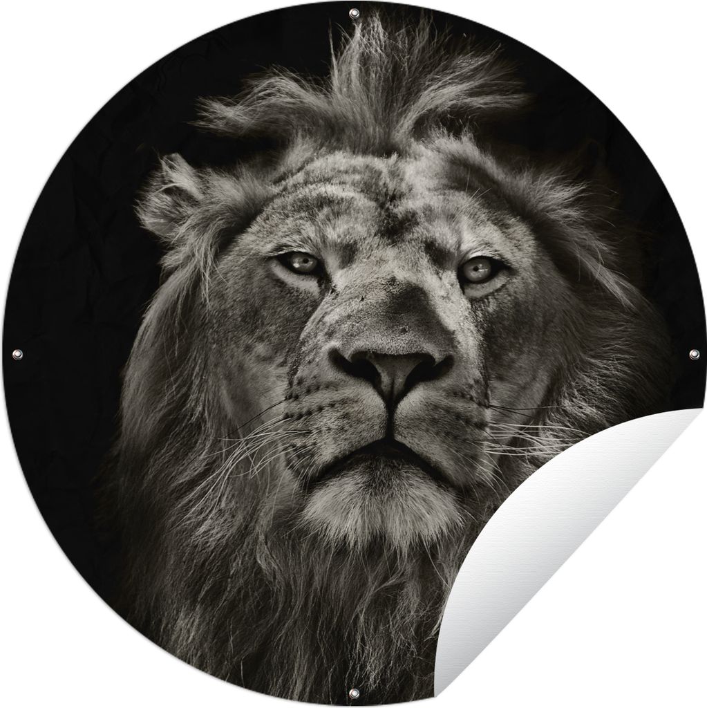 MuchoWow Gartenposter Outdoor-Poster Rund Löwe - Tiere - Porträt - Wildtiere - Schwarz und weiß Ø 150 cm Gartendeko Rundes Poster draußen