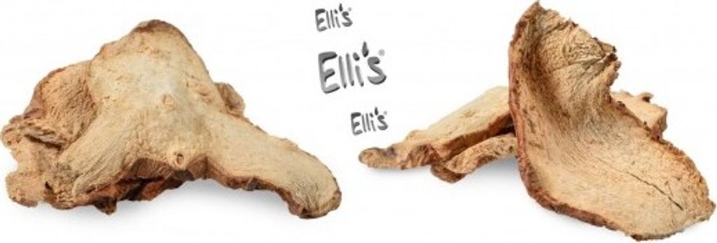 Galgant Wurzel geschnitten - Ellis Gewürz