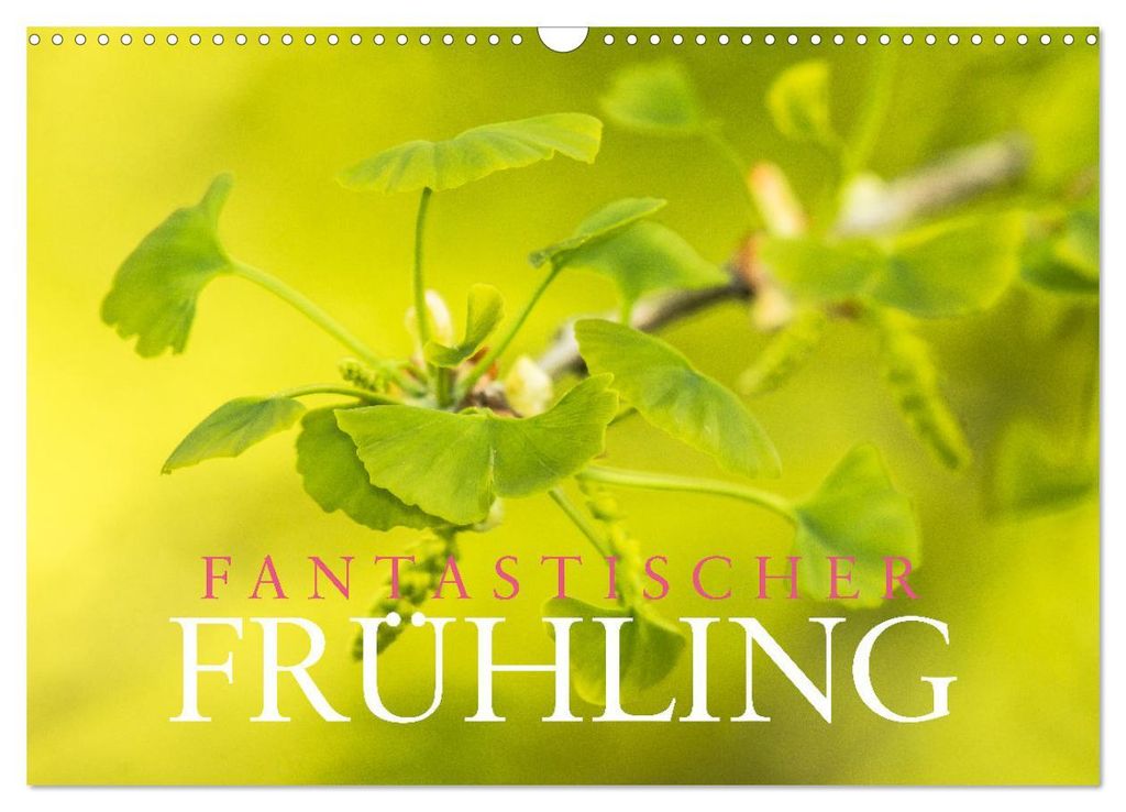 Fantastischer Frühling (Wandkalender 2027 DIN A3 quer), CALVENDO Monatskalender