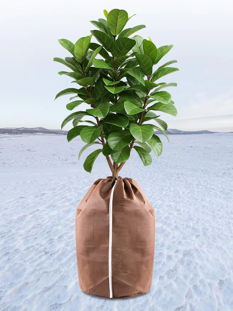 Housse thermique cache-pot 50x80 cm - Protection hivernale de plantes