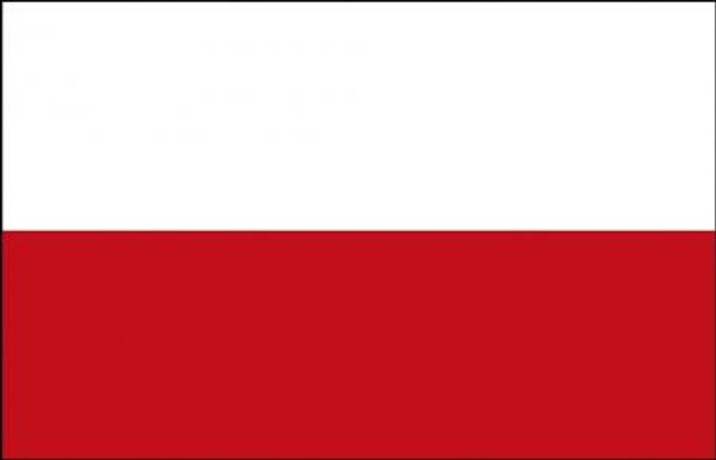 Aufkleber Autoaufkleber - Poland - Polen - 301207 - Gr. ca. 9,5 x 6,5 cm