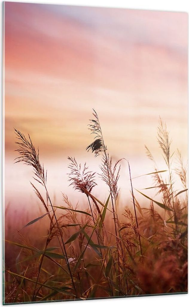 Bilder auf glas - Einteilig - Wiese Getreide Natur - 70x100cm - Glasbilder - Wandbilder - Bilder - zum Aufhängen bereit - Wanddekoration aus Glas ...