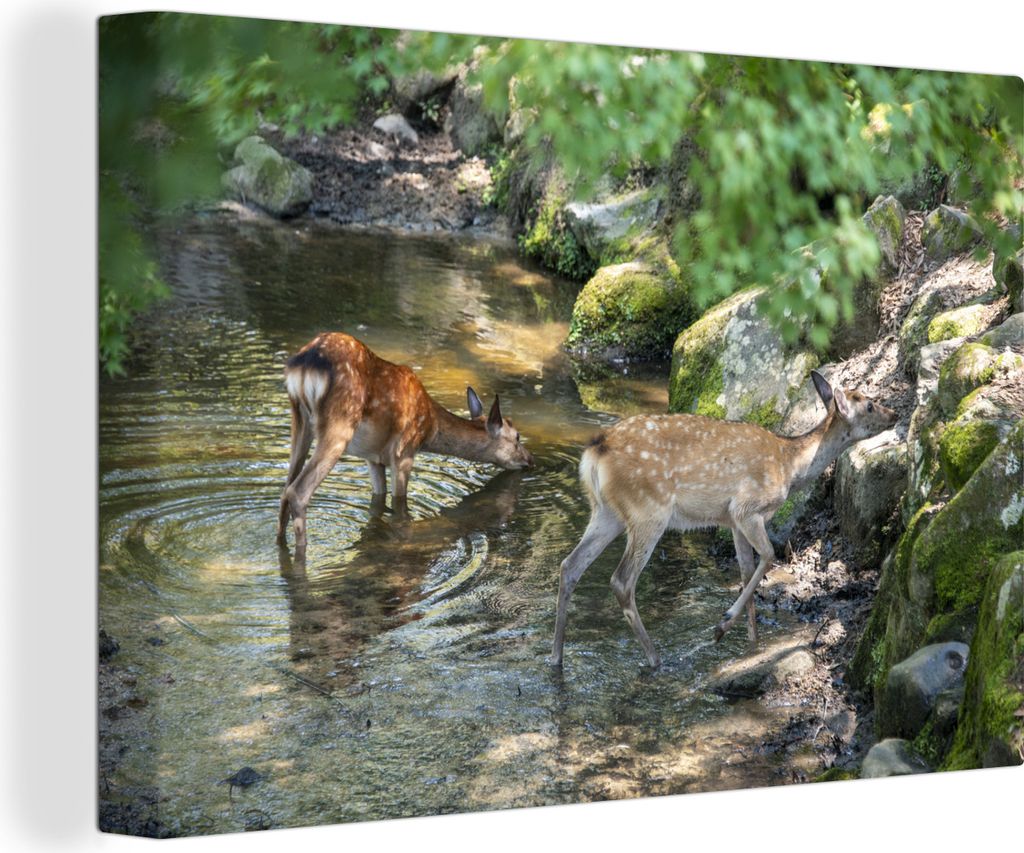 OneMillionCanvasses - Leinwandbilder - 140x90 cm, Hirsche - Wasser - Moos, Wandbilder Kunstdruck Wanddekoration