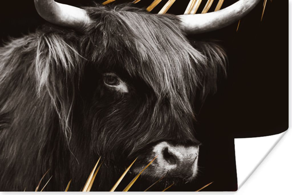 MuchoWow Poster Schottischer Highlander - Gold - Schwarz - Weiß 120x80 cm - Bilder