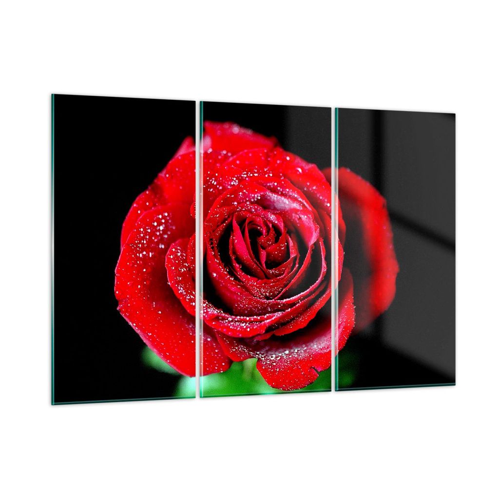 Bilder auf glas - Rose Blume Blütenblätter Wasser - 165x110cm - Glasbilder - Wandbilder - Kunstdruck - Wanddekoration aus Glas - Glas Bilder - Wa...