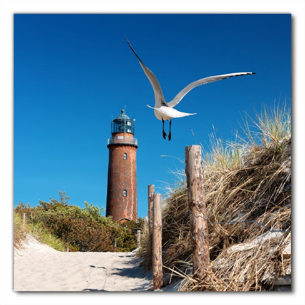 Wallario selbstklebende Möbelfolie/ Tischdecke für Innen und Außen, Größe: 90 x 90 cm - Möwe am Strand mit Leuchtturm