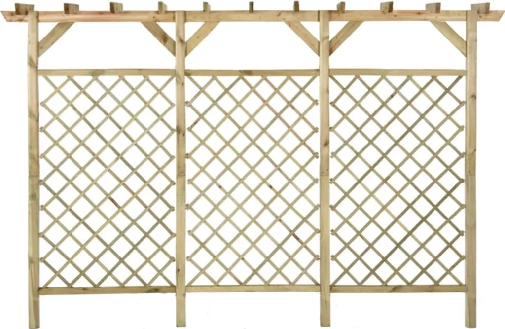 Treillis de jardin en pin imprégné 3x2m avec pergola pour grimpantes