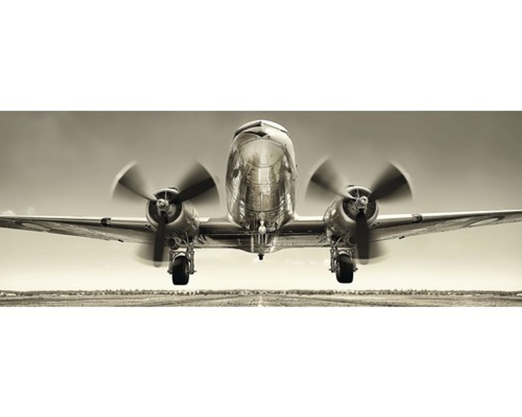 Glasbild Plane III Flugzeug Frontalansicht 80x30 cm Querformat Loft & Industrial