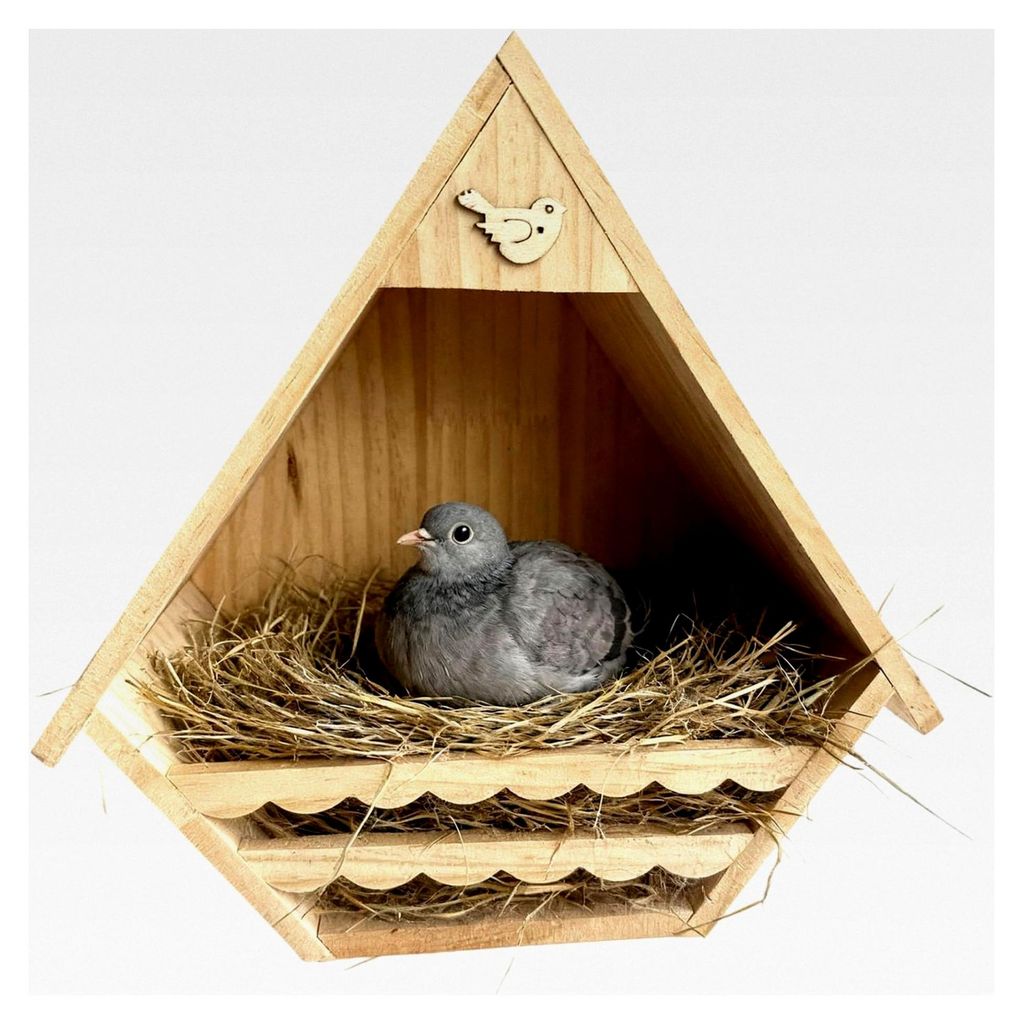 Vogelhäuser für den Außenbereich - 30 x 16 cm | Nistkasten aus Holz für Finken als Brutplatz | Vogelhaus für Sperlinge, Schwalben, Zaunkönige...