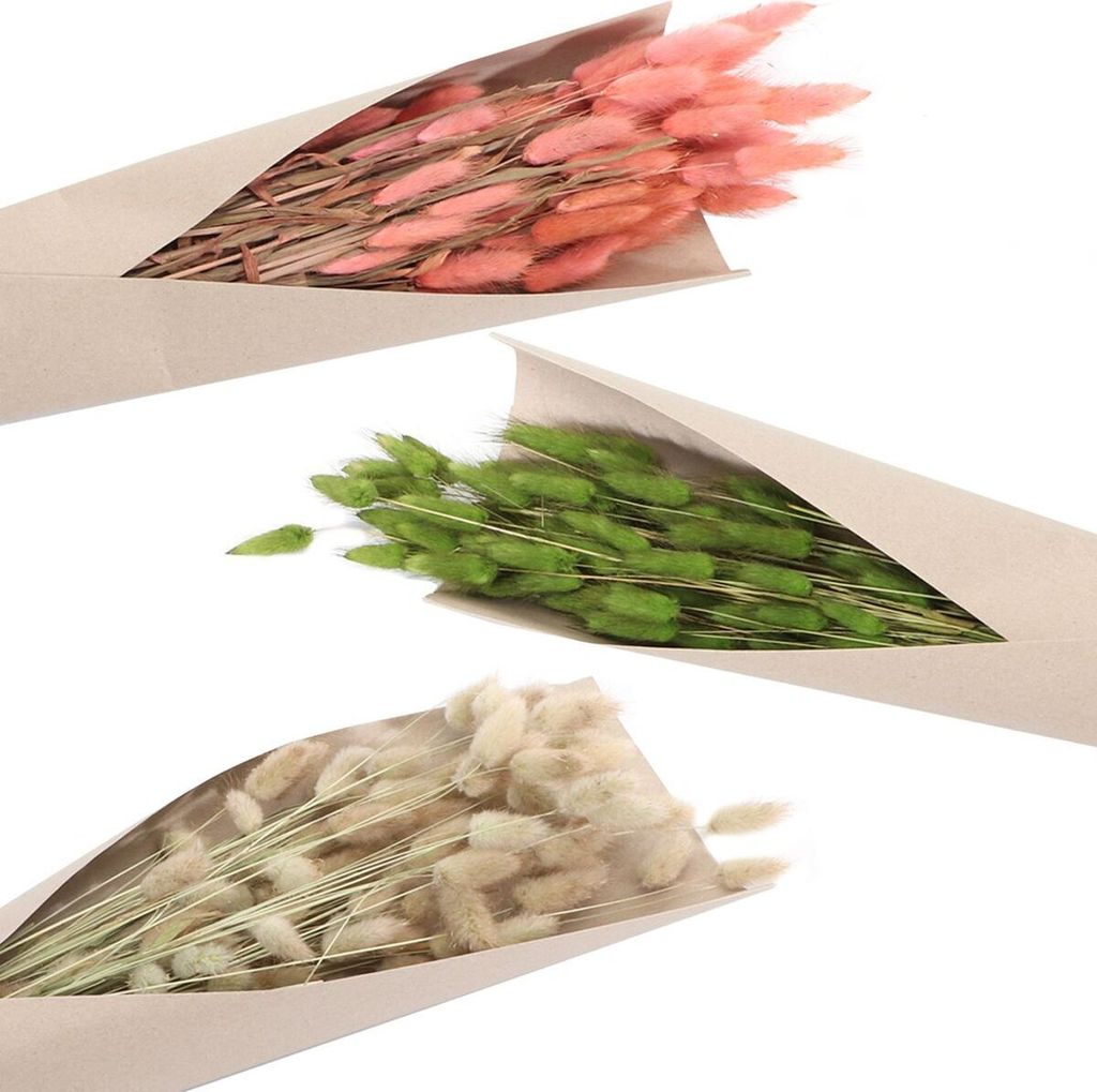 Strauß Lagurus 100g 72 cm Trockenblumen Schilfgras Deko