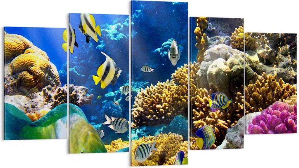 Bild auf Leinwand - Leinwandbild - Korallenriff Ozean Krabbe Fisch - 160x85cm - Wand Bild - Wanddeko - Leinwanddruck - Bilder - Kunstdruck - Leinwa...