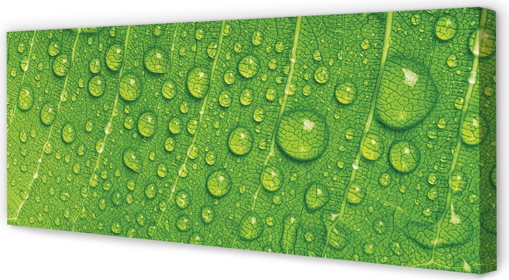 Leinwandbild 125x50 Wandkunst Tropfen Blatt Makro