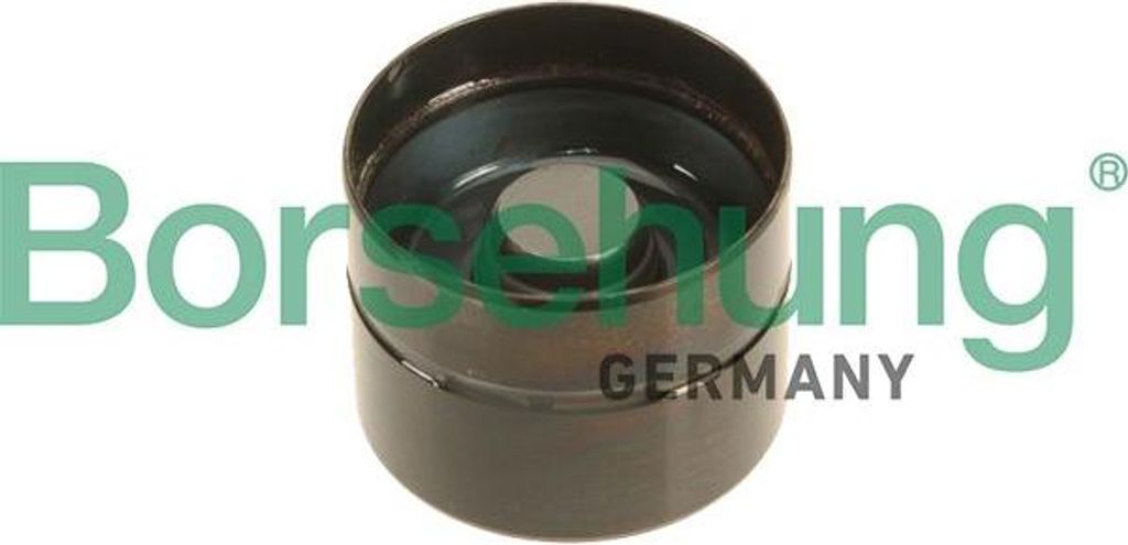 Borsehung B18838 Ventilstößel OE 038109309C kompatibel mit A2, A3 8L, A3 8P, A4 8D, A4 8E, A4 8H, A6 4B, Alhambra, Altea, Altea XL, Arosa, Cordob...