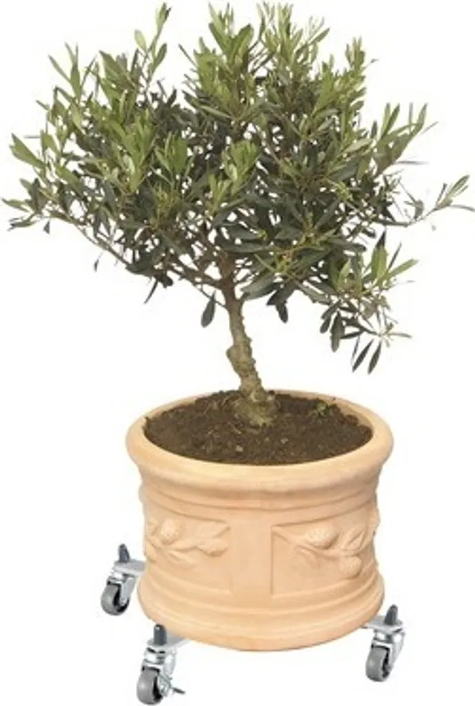 Multiroller Sun City Basic - Support Roulant pour Plantes et Pots de Fleurs - 15
