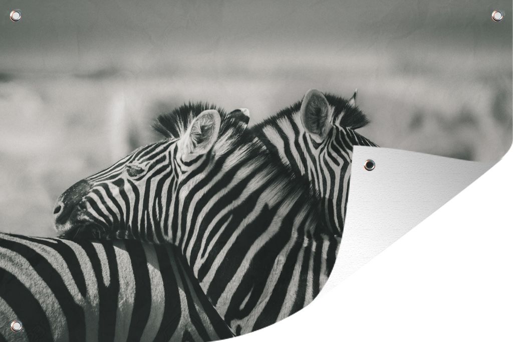 MuchoWow 90x60 cm Outdoor-Poster Gartendeko Sichtschutz Garten Poster für den Garten Kuschelige Zebras
