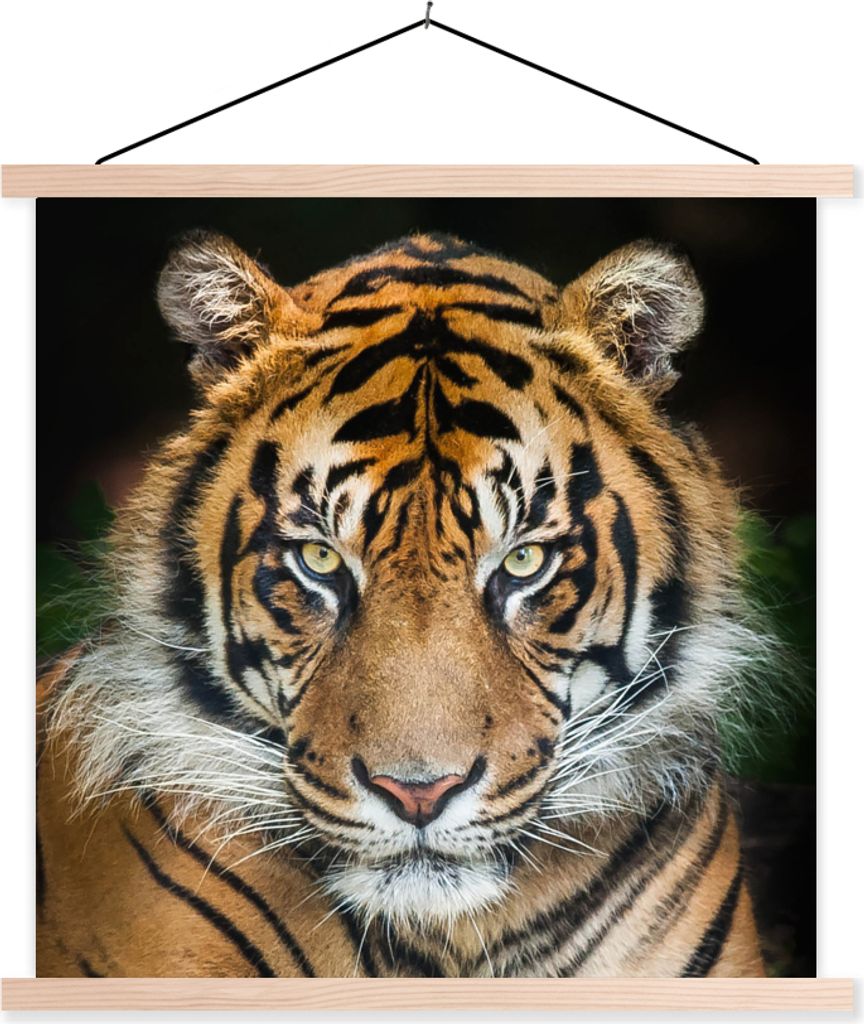 MuchoWow Textilposter Tiger - Schwarz 60x60 cm mit holzfarbenen Rahmen - Wanddekoration