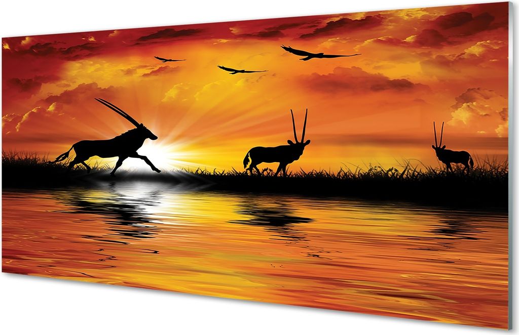 Glasbilder 140x70 Wandkunst Vögel See Westen