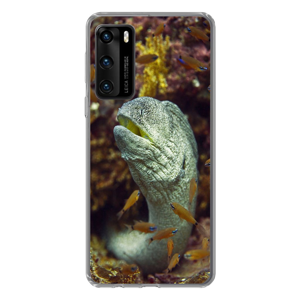 MuchoWow Handyhülle Schutzhülle Hülle für Huawei P40 Fische - Korallen - Ozean Silikon Softcase Handy Hülle - Handytasche
