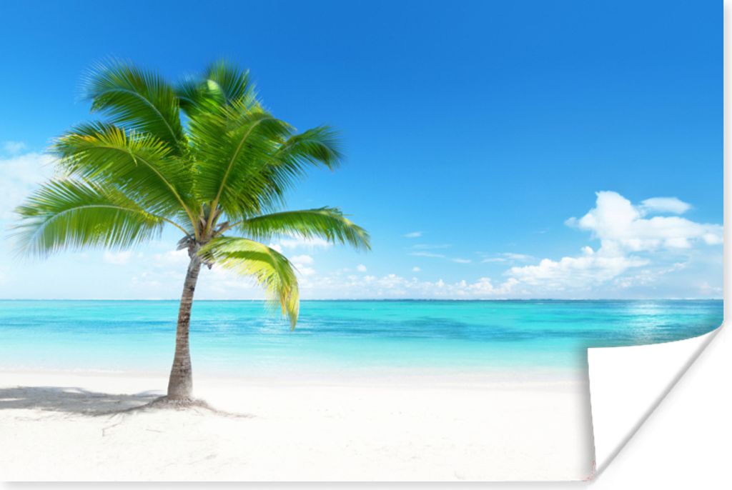 MuchoWow Poster Palme - Strand - Meer - Sommer 30x20 cm - Plakate - Print