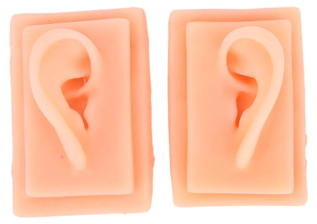Oreille d'apprentissage en silicone pour exercices d'acupuncture 1:1