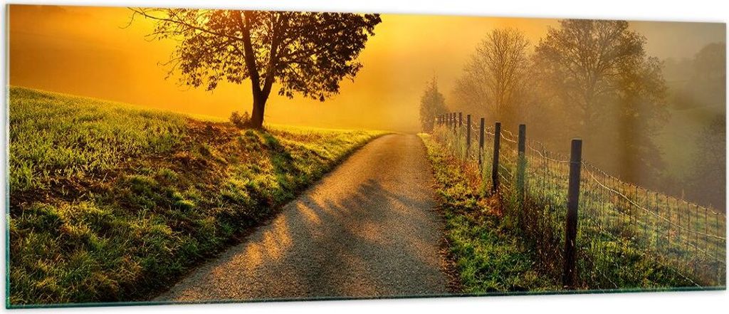 Bilder auf glas - Feld Straße Baum - 140x50cm - Glasbilder - Wandbilder - Kunstdruck - zum Aufhängen bereit - Wanddekoration aus Glas - Glas Bild...