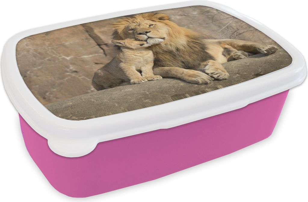 KitchenYeah Lunchbox Brotzeit Brotdose 17x11 cm Löwen - Steine - Porträt Kinder Brotzeitdose - Lunchpaket - Brotkasten - Sandwich Box