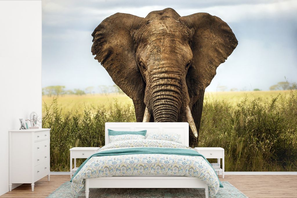 MuchoWow Fototapete für Wohnzimmer oder Schlafzimmer Wandtapete Vinyl Motivtapete Afrikanischer Elefant Vorderansicht - 330x220 cm - Fototapeten