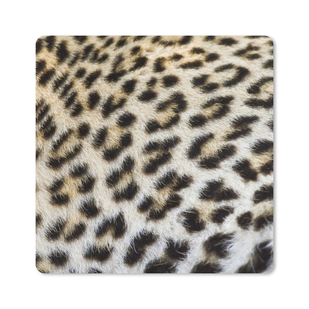 MuchoWow® Mauspad Mousepad Nahaufnahme Mantel Leopard 30x30 Produktbild 