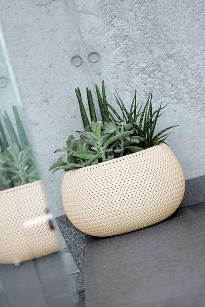 Prosperplast Splofy Bowl 23.9x23.9x16.1 Cm Blumentopf Weiß  Produktbild 5