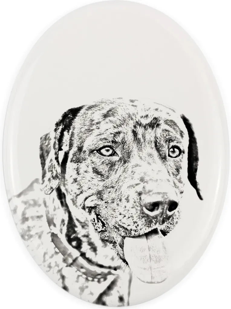 Lapide Esterna Catahoula Leopard Dog | Targa Commemorativa Art-Dog
