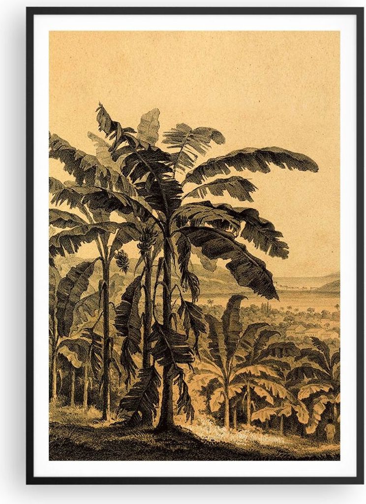 Gerahmtes Poster - Schwarzer Rahmen - Palmen Wald Regnerisch - 70x100 cm - Wand Bild - Wanddeko - Wandbilder - Kunstposter - Wandposter - Bilderrah...