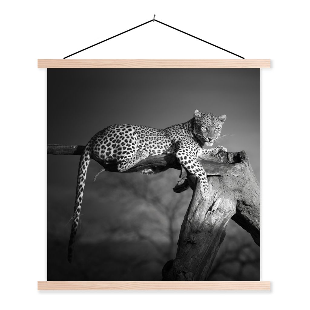MuchoWow Textilposter Panther - Baum - Tiere - Schwarz - Weiß 40x40 cm mit holzfarbenen Rahmen - Posterleiste