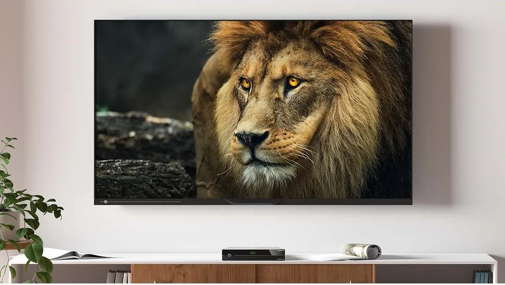 Décodeur TV HD pour Câble et IPTV Telestar DIGISTAR C Noir Ethernet