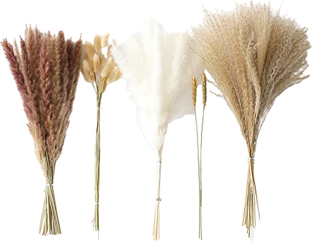 Bund trockenes Schilfgras, kein Gießen, nicht verwelkt, pflegeleicht, natürlich, getrockneter Pflanzenstrauß, DIY, Hochzeit, Boho-Blume, Heimdek...