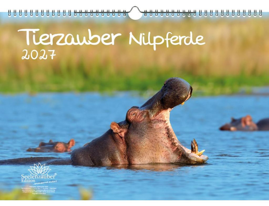 Tierzauber Nilpferde DIN A3 Kalender für 2027 Afrika Flusspferde - Seelenzauber