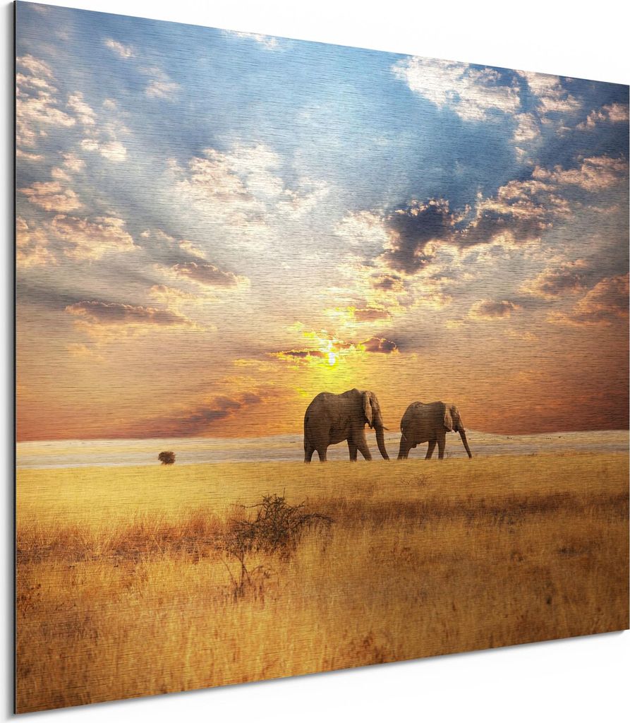 DEQORI Alu-Dibond Bild Silber 80x60 cm 'Elefanten in der Steppe' Wandbild Metall dünn