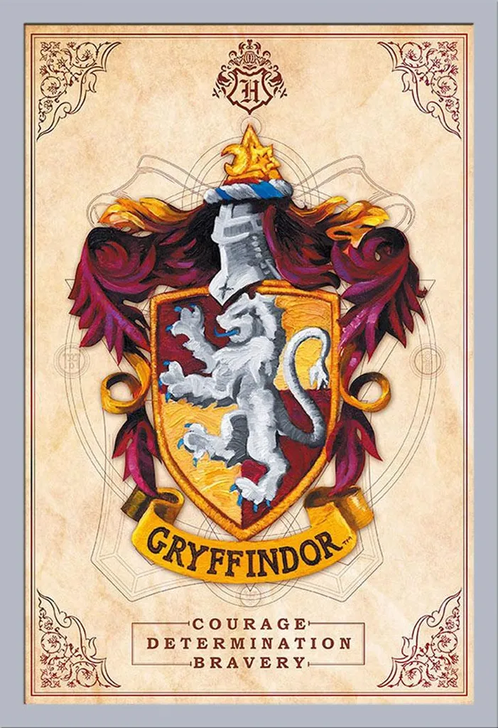 Poster Harry Potter Grifondoro con Cornice Argento Shinsuke MDF 61x91,5