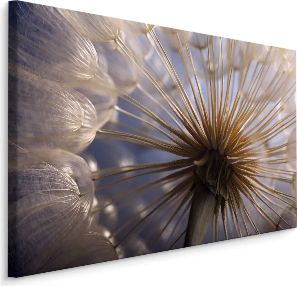 Quadro su Tela Dente di Leone 120x80 cm XXL - Arte Moderna Naturale