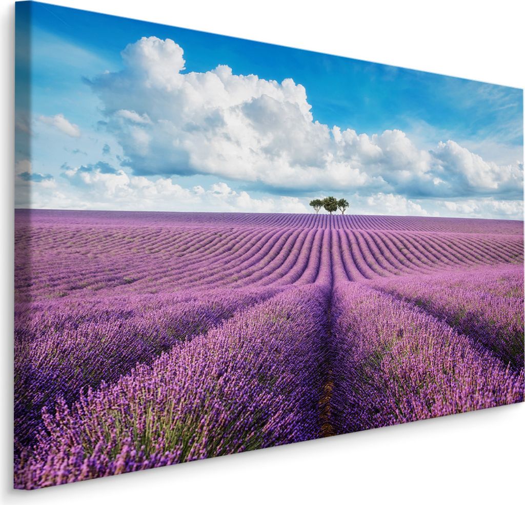 Fabelhafte Canvas LEINWAND BILDER 70x50 cm XXL Kunstdruck Natur Blumen Lavendel Feld
